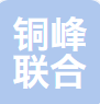泌阳县铜峰联合会计师事务所